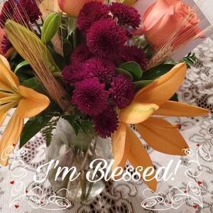 Meet your Posher, Lorraine